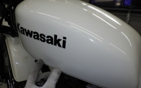 KAWASAKI 250TR 2024 BJ250F