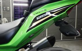 KAWASAKI ZX-25R 2008 ZX250E