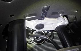 KAWASAKI NINJA ZX-6R A 2025 ZX636J