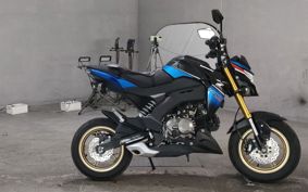 KAWASAKI Z125 PRO  BR125H