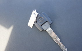 YAMAHA X FORCE SG79J