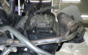 HONDA C50 SUPER CUB 2025 AA01