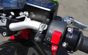 HARLEY FLSB 2021 YMJ