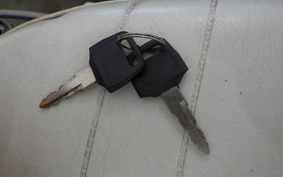 OTHER UNREGISTERED MODEL by BDS125