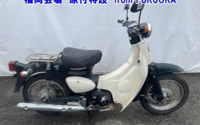 OTHER  LITTLE CUB E FI