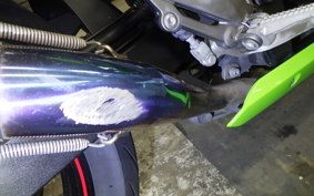 KAWASAKI NINJA 250 ABS EX250L