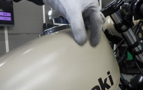 KAWASAKI 250TR 2019 BJ250F