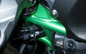 KAWASAKI ZH2 SE 2025 ZRT00R