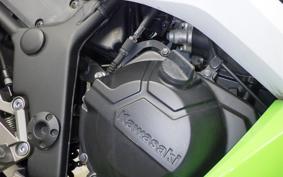 KAWASAKI NINJA 250 2007 EX250L