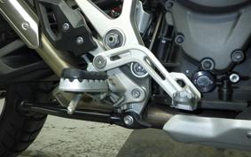 TRIUMPH TIGER 1200 GT PRO 2022