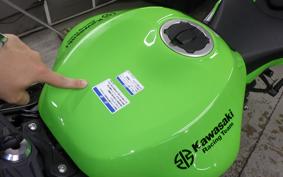 KAWASAKI NINJA ZX-6R A 2022 ZX636G