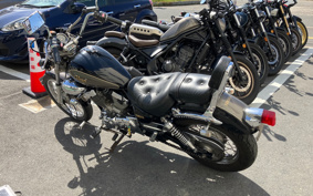 YAMAHA VIRAGO 250 3DM