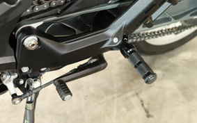 OTHER Svartpilen401 2019