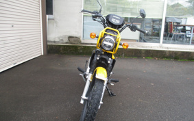 HONDA CROSS CUB JA45