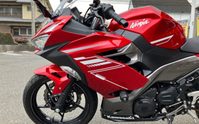 KAWASAKI NINJA 250 EX250P