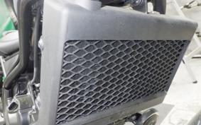 HONDA REBEL 250 MC49