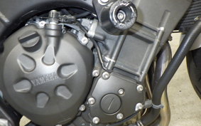 YAMAHA FZ1 FAZER 2014 RN21J