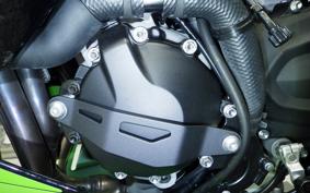 KAWASAKI NINJA ZX-6R A 2025 ZX636J