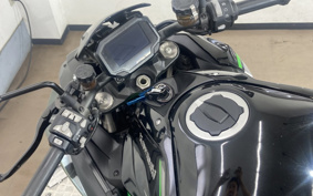 KAWASAKI NINJA H2 2020 ZRT00K