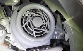 SUZUKI ADDRESS V125 DT11A