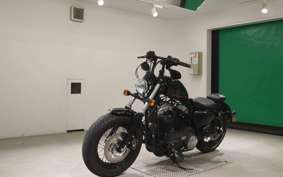 OTHER +HD. XL1200X 2014