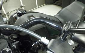 HARLEY FXLRS1920 2024