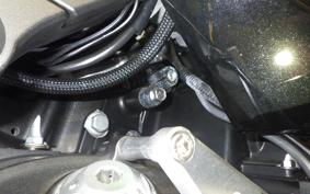 KAWASAKI ZX 1400 NINJA R A 2020