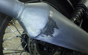 OTHER +UNREGISTERED MODEL by BDS125