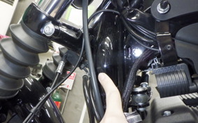 HARLEY XL1200NS 2019
