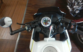 OTHER CFMOTO XO-1 PAPIO