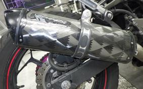KAWASAKI NINJA 250 ABS EX250L