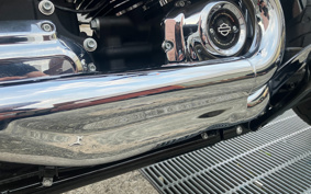 HARLEY FLSB 2019 YMJ