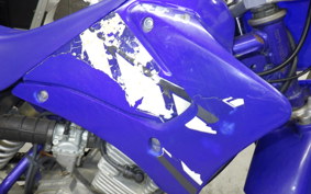 YAMAHA TT-R125 2009 CE07Y