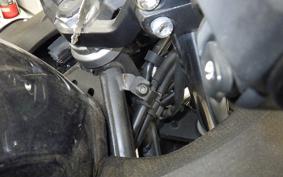 KAWASAKI NINJA 250 2021 EX250P