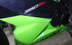 KAWASAKI NINJA 250 SL 2008 BX250A