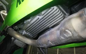KAWASAKI NINJA 250 2009 EX250L
