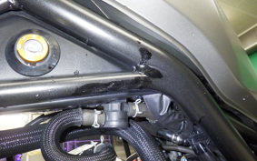 HONDA REBEL 250 A 2026 MC49