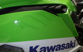 KAWASAKI ZX-4RR 2024 ZX400P
