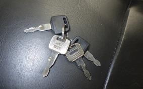 OTHER +UNREGISTERED MODEL by BDS125 TRIKE 2020