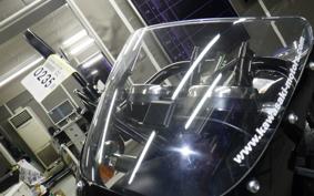 KAWASAKI W800 CAFE 2020 EJ800B