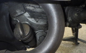 OTHER +UNREGISTERED MODEL by BDS250