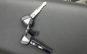 KAWASAKI KLX230SM LX230A