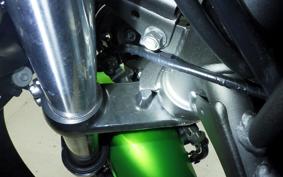 KAWASAKI NINJA 400 2024 EX400L