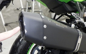 KAWASAKI ZX-4RR 2024 ZX400P