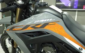 HONDA CRF250L 2006 MD47