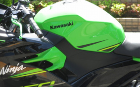 KAWASAKI NINJA 250 EX250P