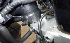 HONDA MONKEY 125 JB03