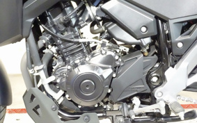 SUZUKI STROM 250 DS11A