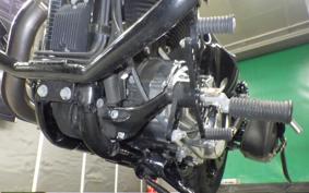 HARLEY XL1200XS 2019