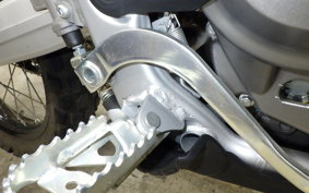 HONDA CRF250 GEN 2 RALLY 1999 MD47